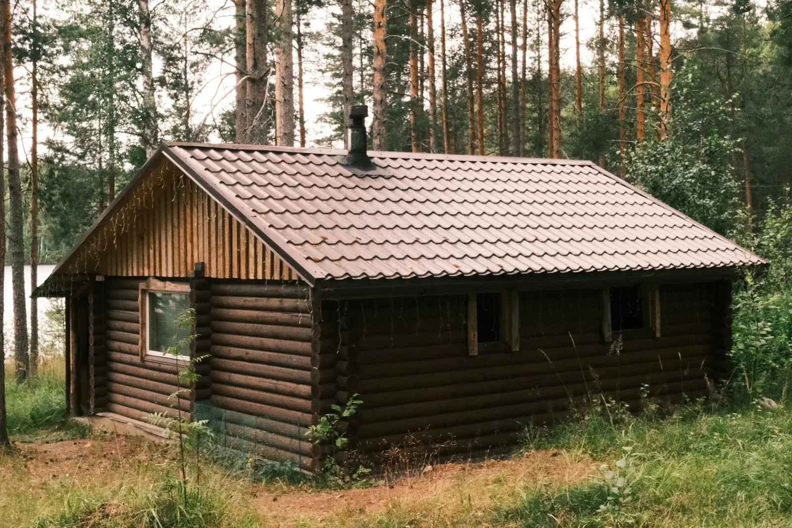 A small log cabin with a brown metal roof among tall pine trees, with bare ground in front of it.
