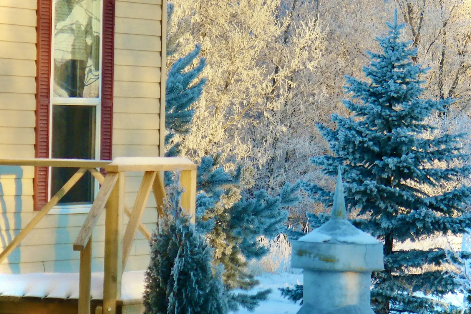 A cream-sided home with red shutters and a wooden porch rail, next to frost-covered trees and a blue spruce in the snow.